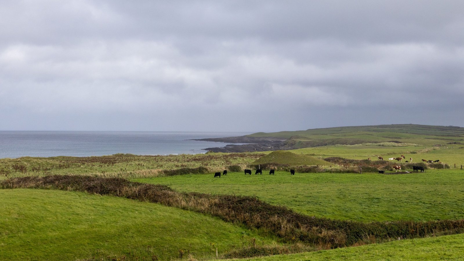 Paisaje costero verde de Irlanda con acantilados, uno de los principales atractivos turísticos del país